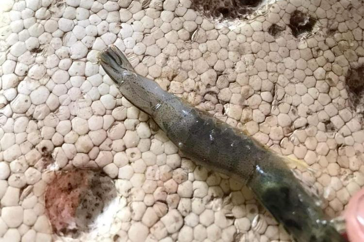 63f58952ac97a.png 微信圖片_20230222111652.png