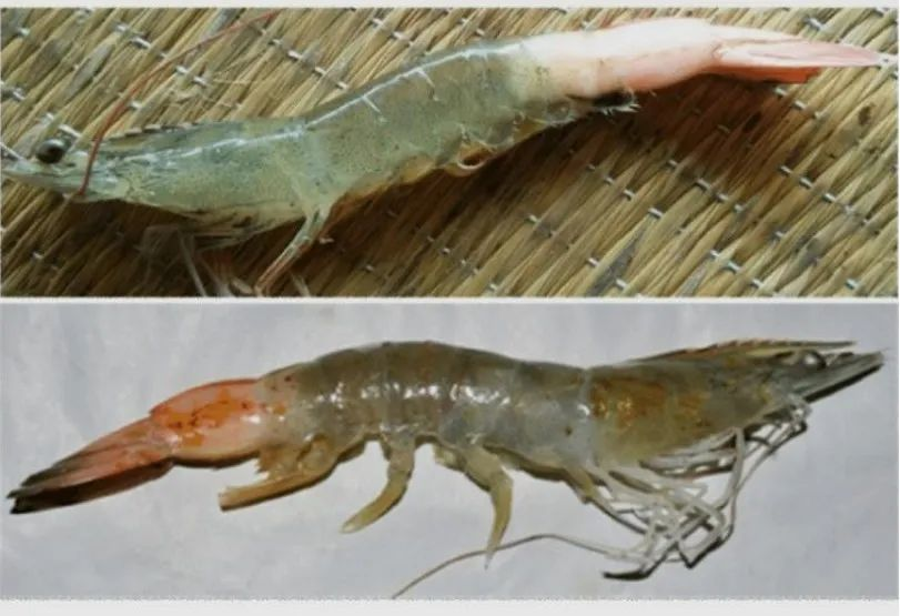 63f589944a4d0.png 微信圖片_20230222111813.png